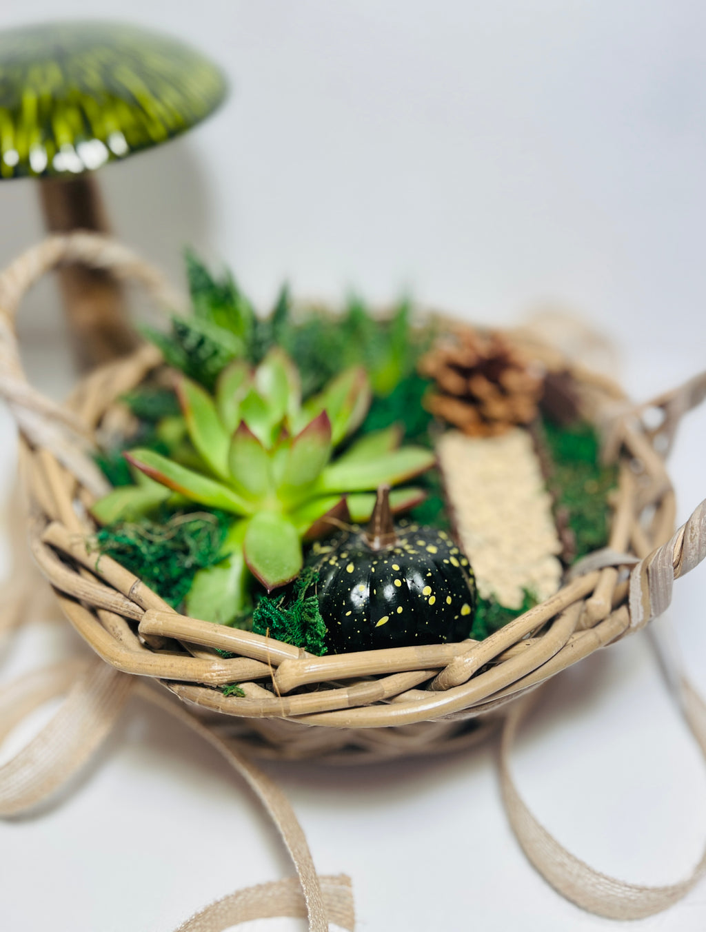 Cesta de otoño con suculentas