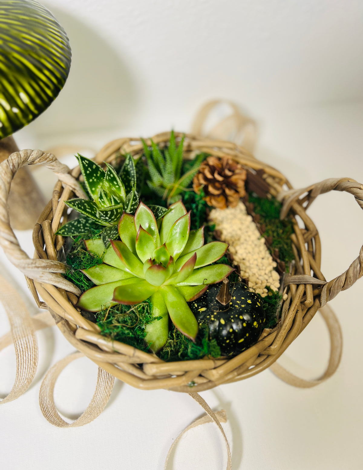 Cesta de otoño con suculentas