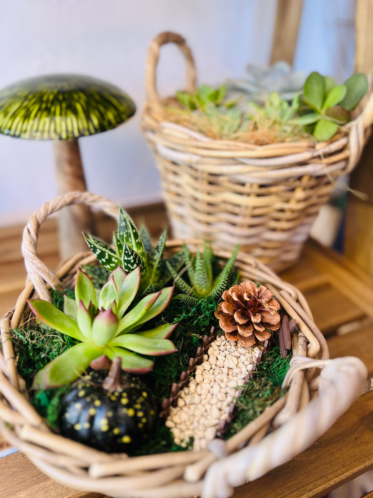 Cesta de otoño con suculentas
