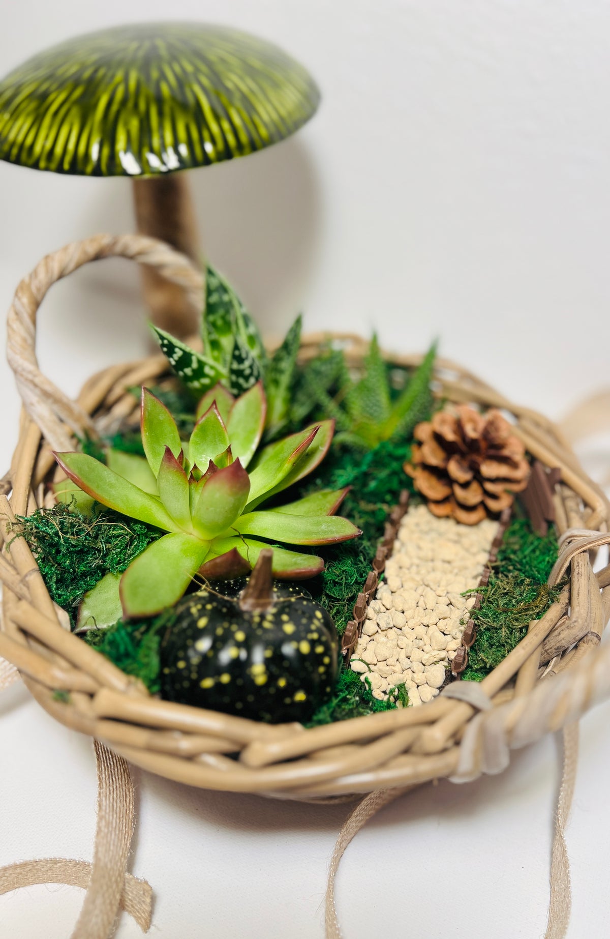 Cesta de otoño con suculentas