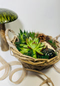 Cesta de otoño con suculentas