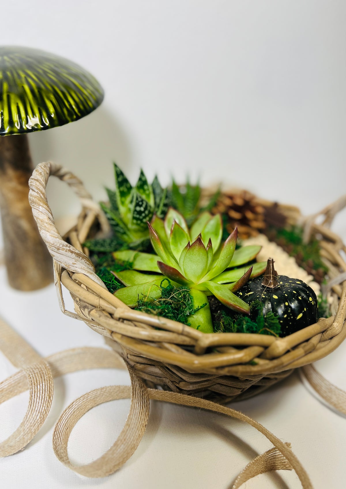 Cesta de otoño con suculentas