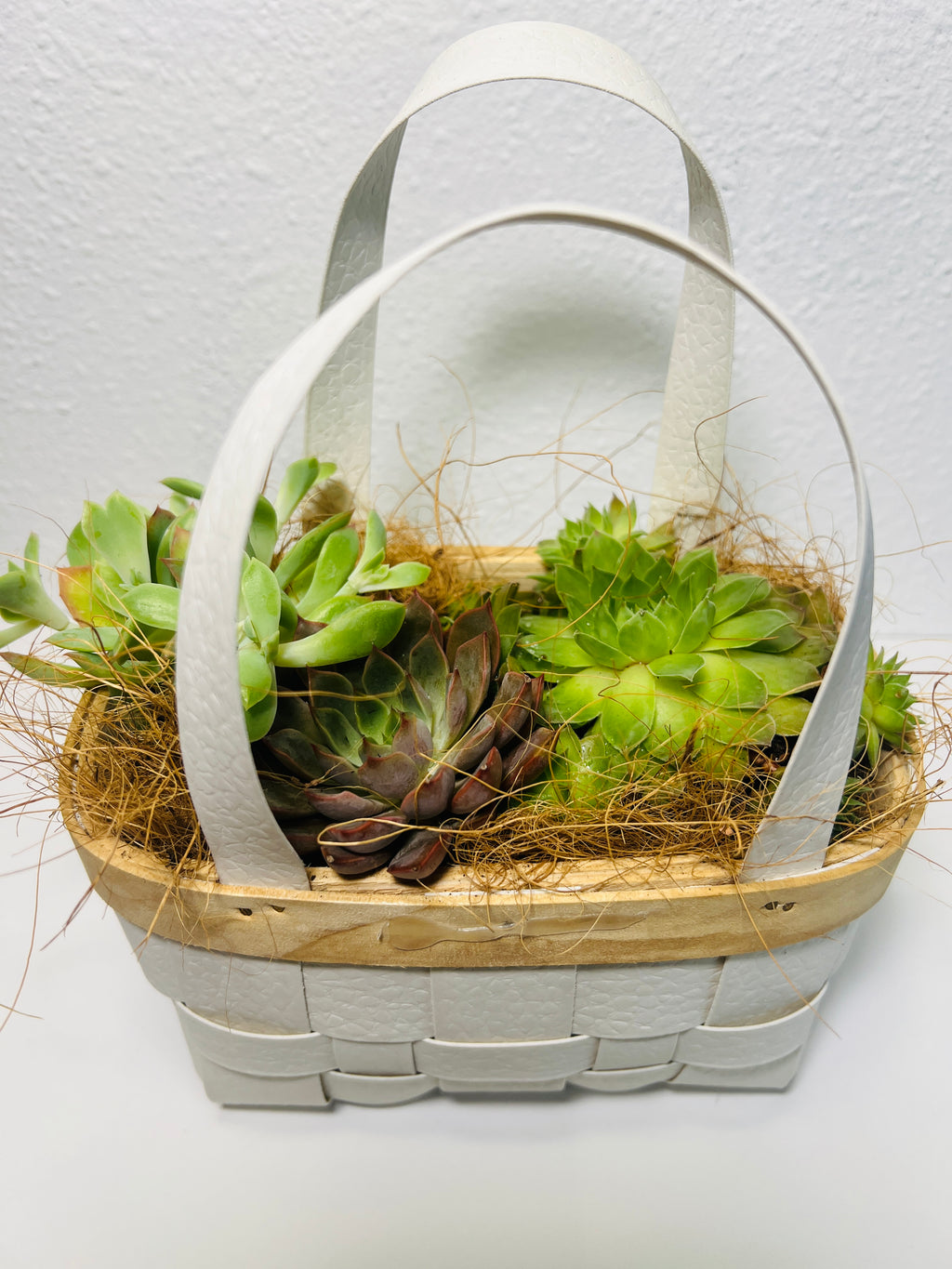 Canasta de Suculentas | Arreglo Natural Decorativo