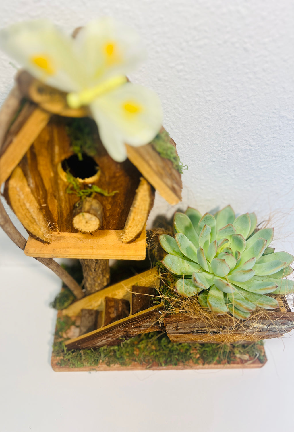 Casita de pájaros rústica decorativa con suculenta
