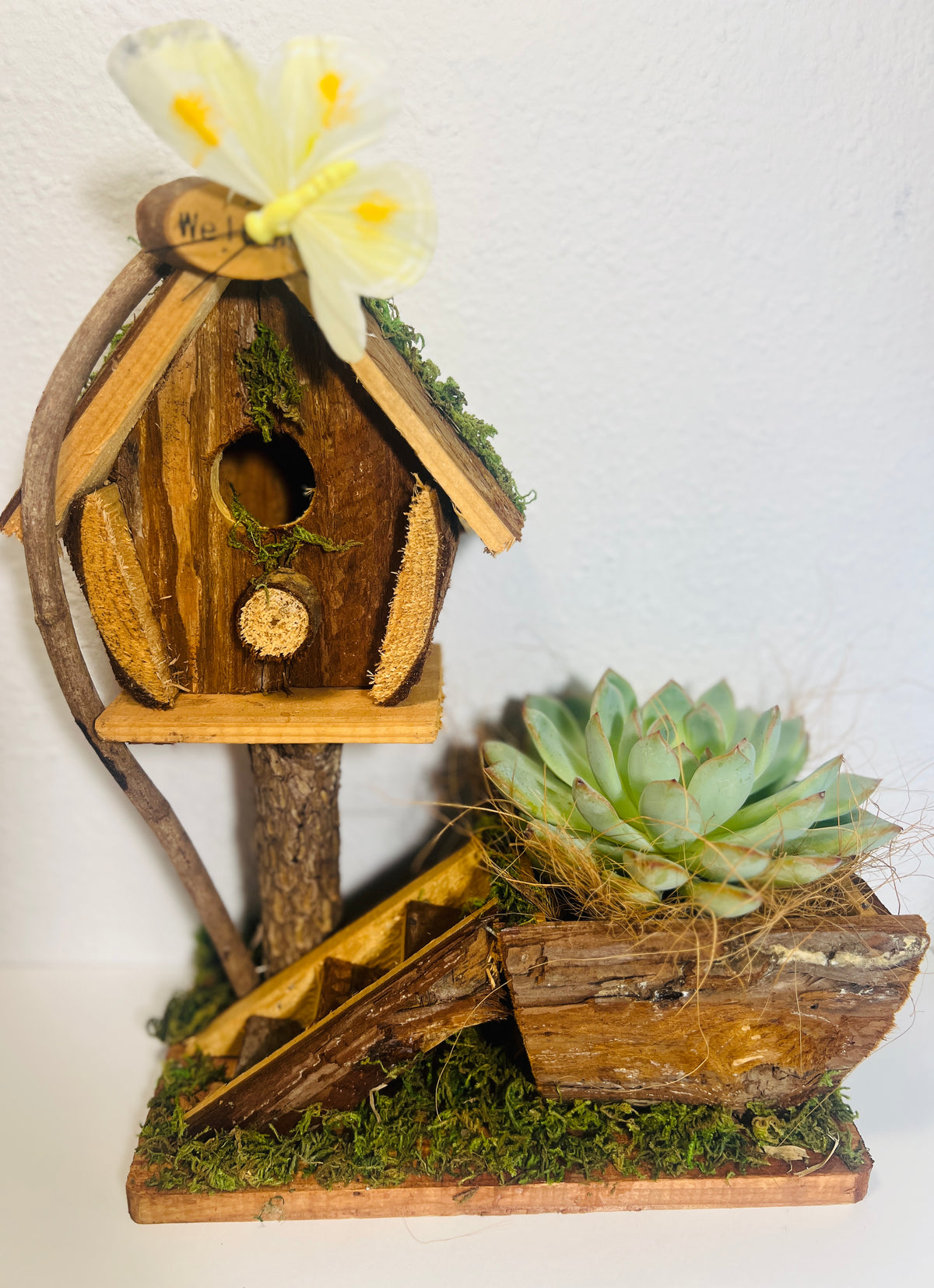 Casita de pájaros rústica decorativa con suculenta
