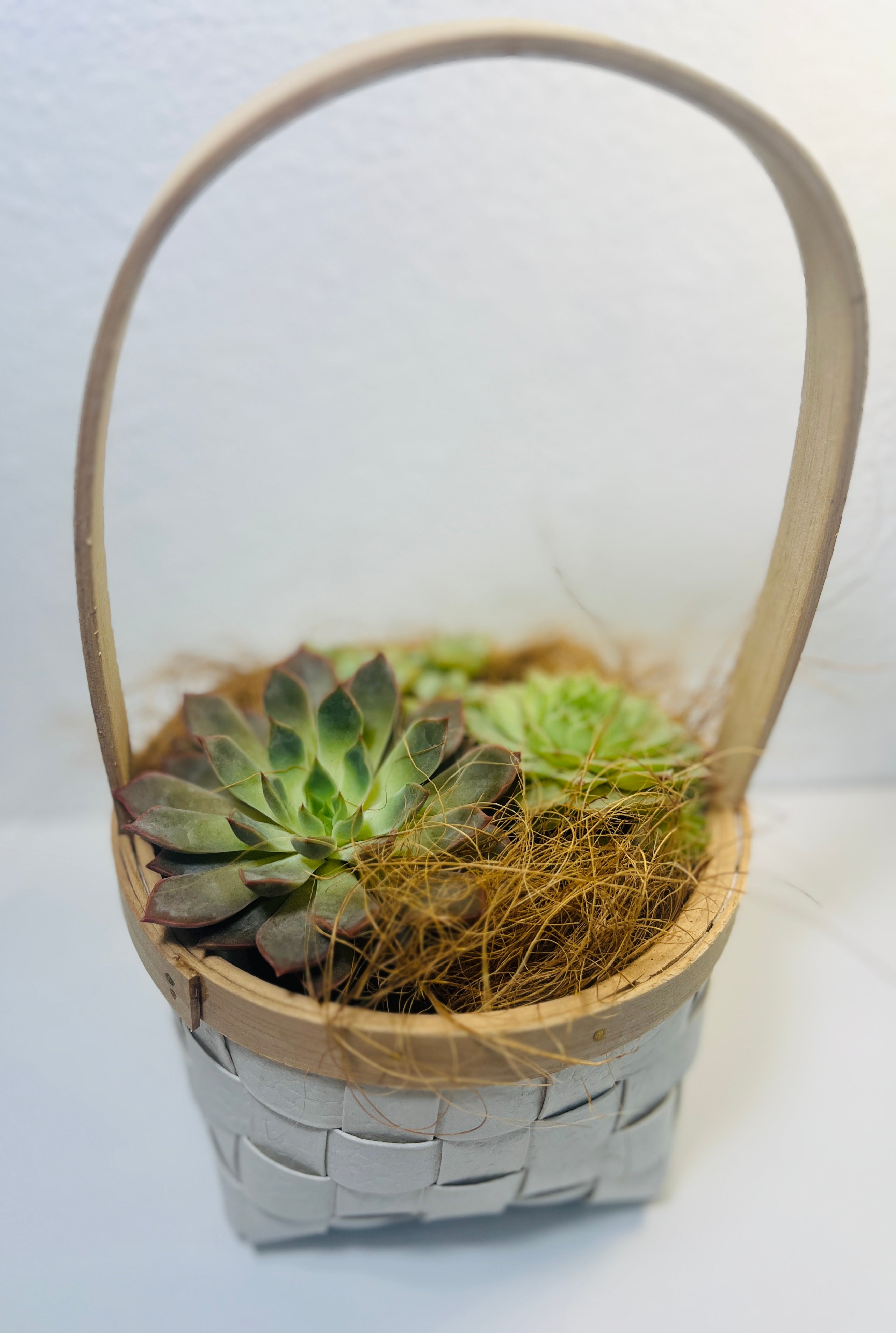 Canasta Redonda de Suculentas | Arreglo Natural Decorativo