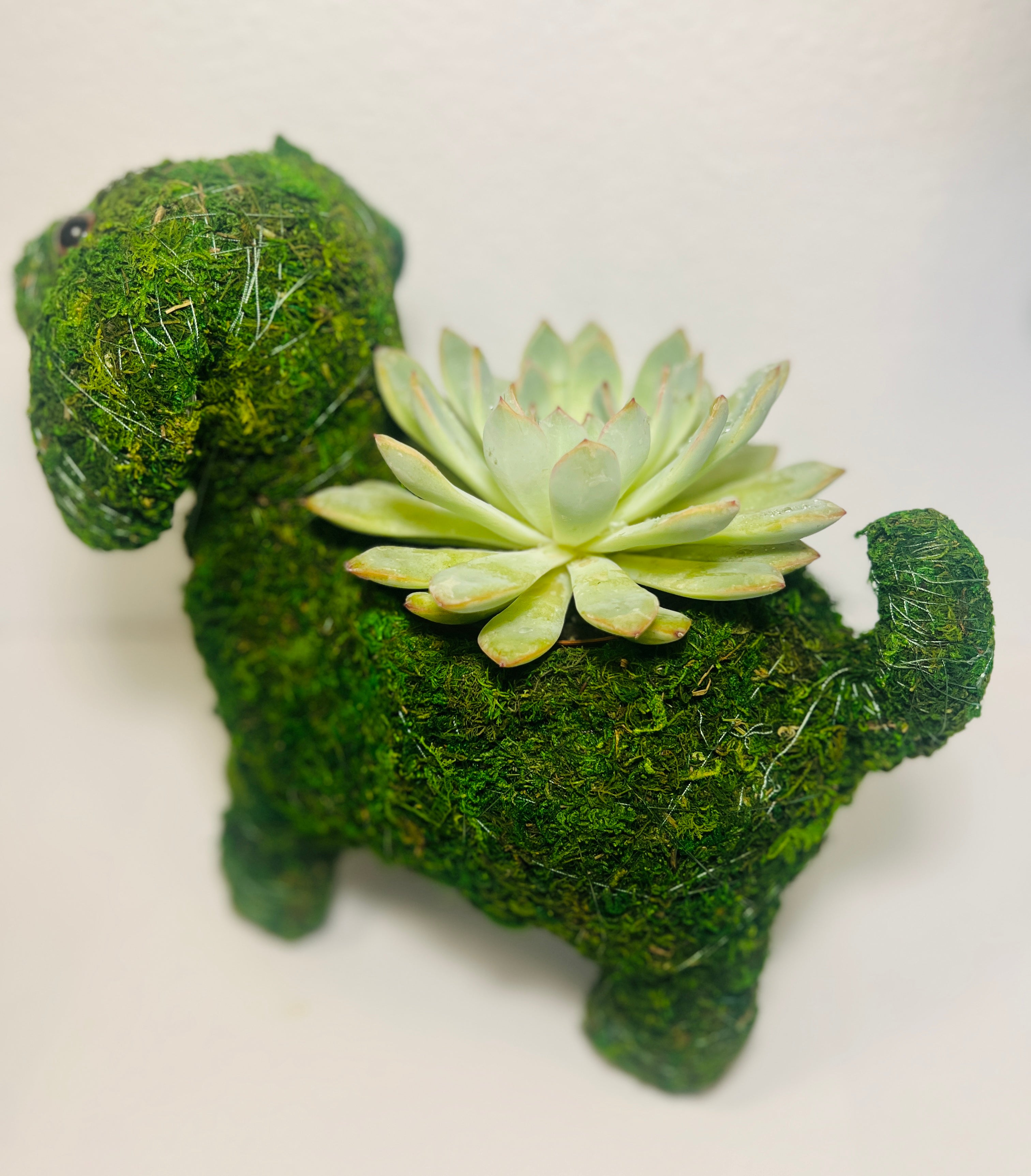 Perrito del Jardín