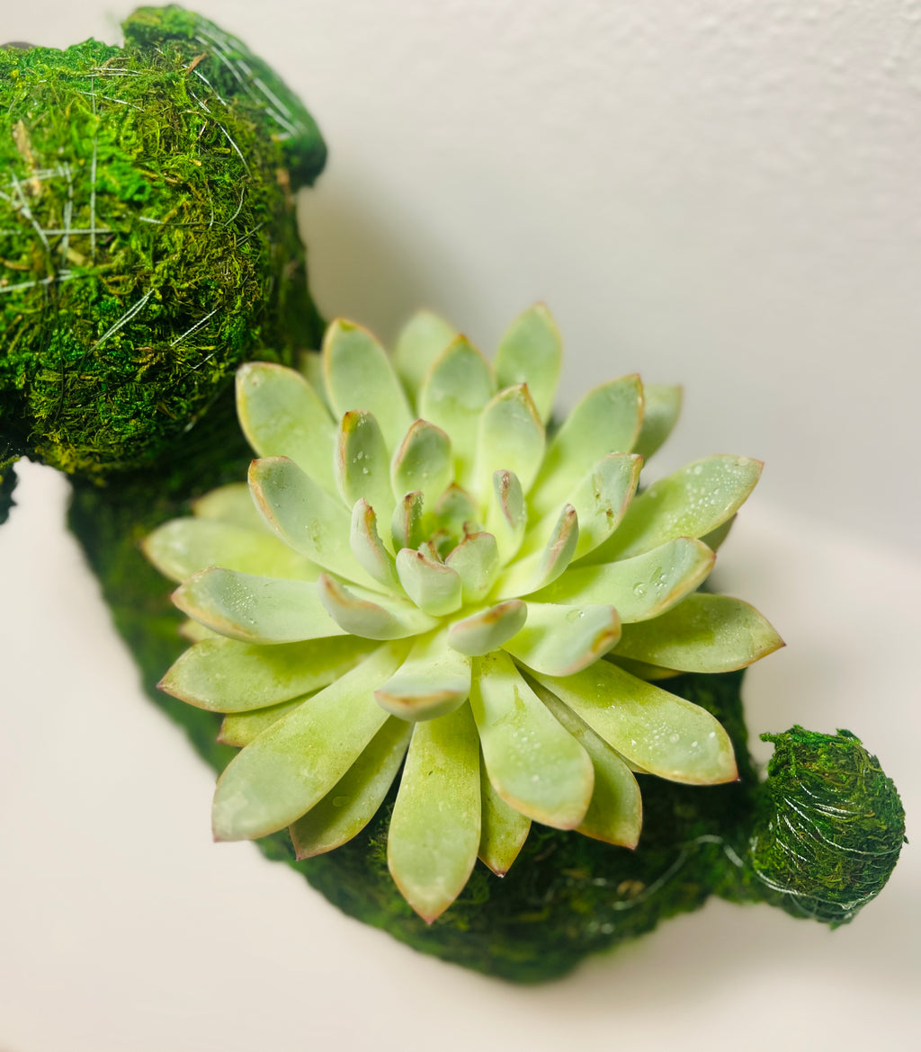 Perrito del Jardín