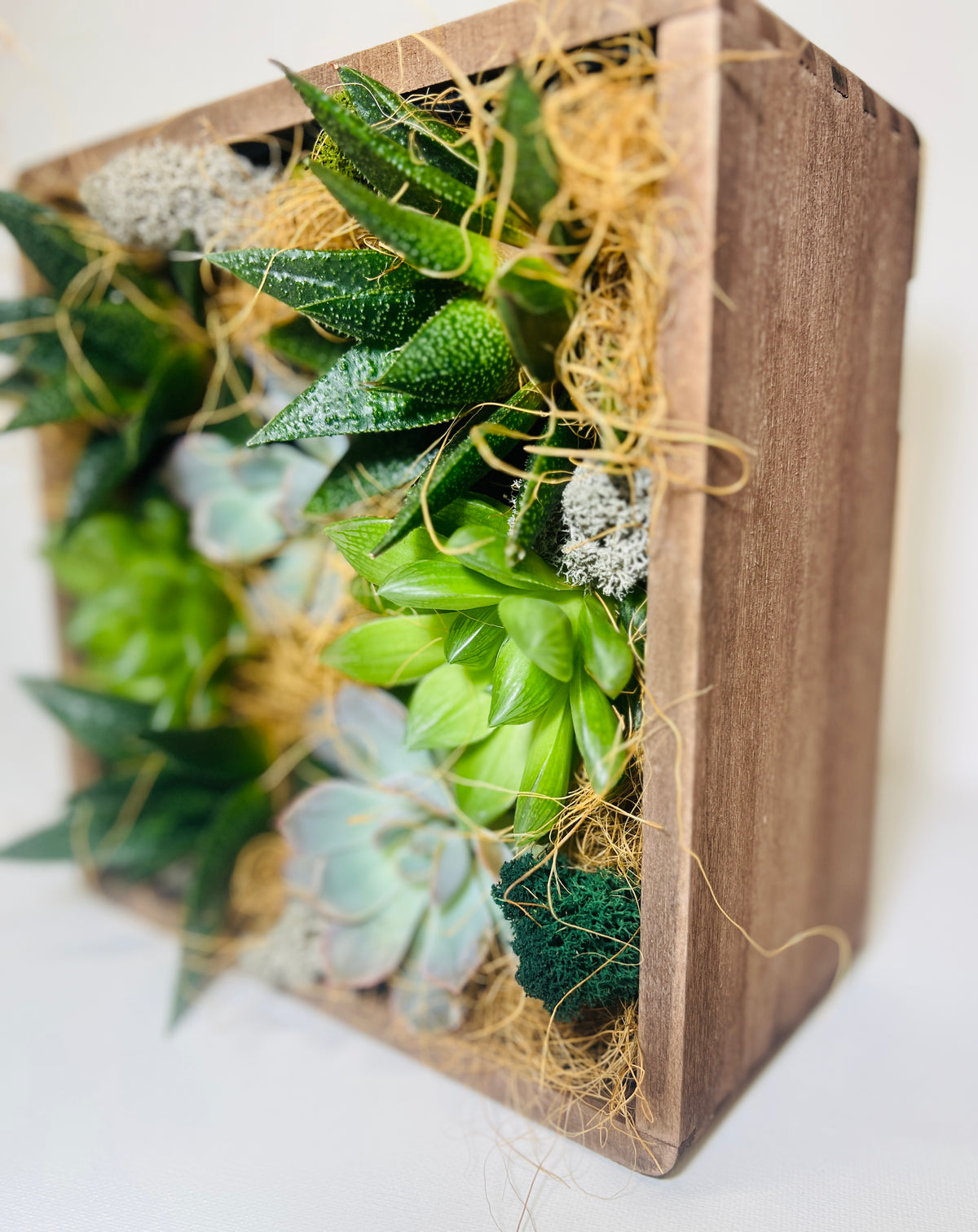 Living Picture Mini — (Edición limitada)
