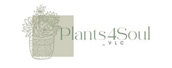 Plants4Soul - Home